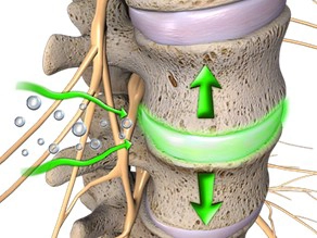 Chiropractic Cocoa Beach FL Spine Green